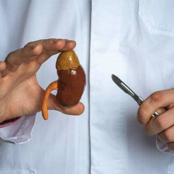 Nephrectomy treatment in Krishna Hospital